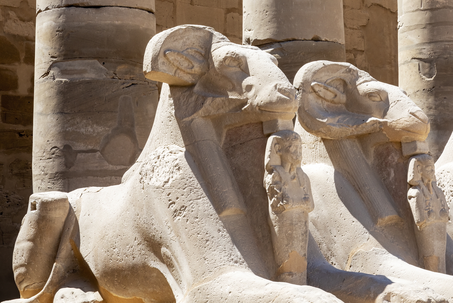 /gallery/africa/egypt/luxor/karmak temple/Karnak Temple Luxor 2023-077_med.jpg